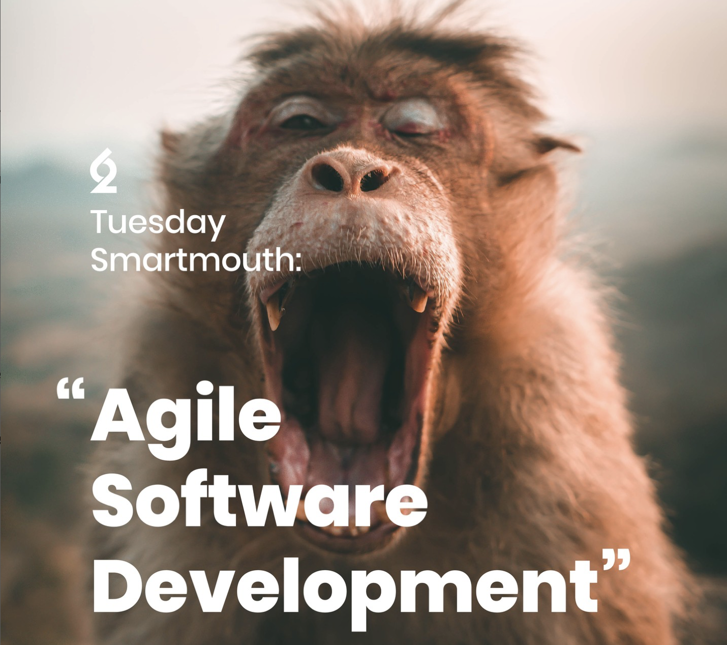 Agile Software Developmen